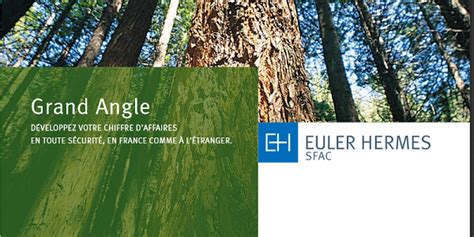 Euler Hermes (SFAC) : GRAND ANGLE .